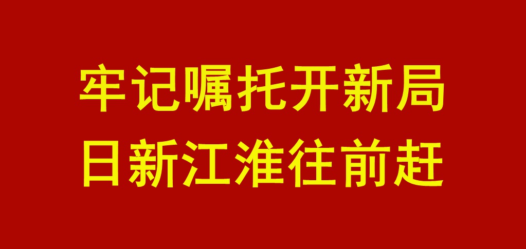 牢记嘱托开新局 日新江淮往前赶