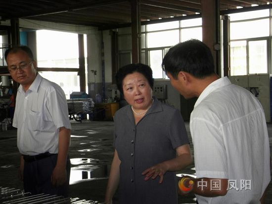 省经信委副巡视员孙慧琳来凤阳调研