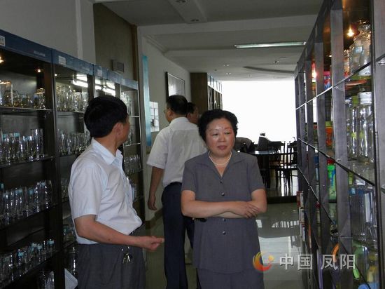 省经信委副巡视员孙慧琳来凤阳调研